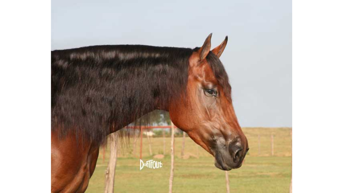 Look AT Her Glo _cabeça