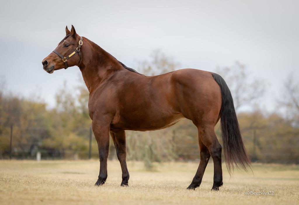 WhatsApp Image 2023-01-20 at 09.05.32