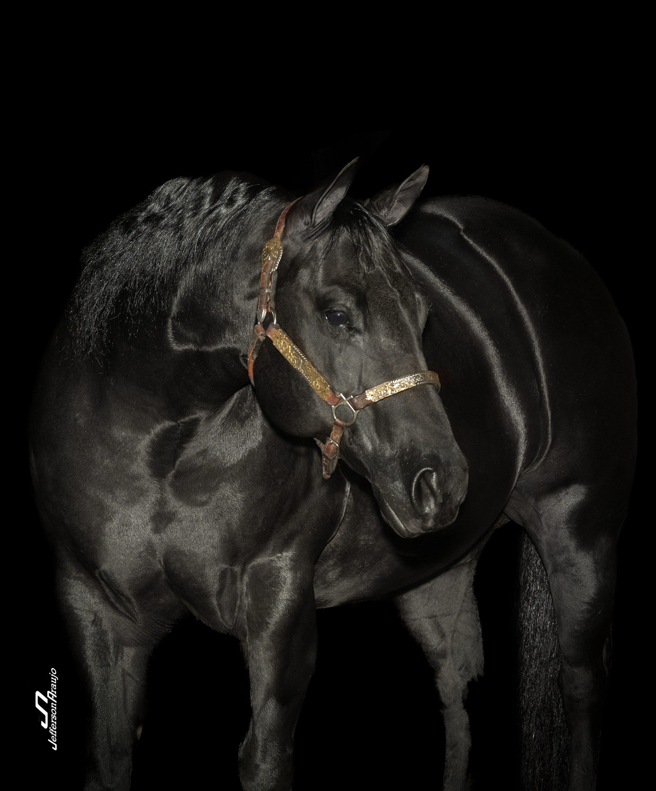 SPARKIN BLACKDIAMOND (1)